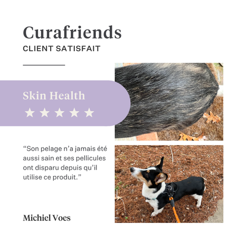 Imby Skin Health complément pour chiens, soutient la santé globale et la vitalité quotidienne, aide à maintenir le système immunitaire ainsi qu’une peau et un pelage sains, comble les carences nutritionnelles de l’alimentation quotidienne, formule équilibrée développée par des vétérinaires adaptée à un usage quotidien. | localization: FR