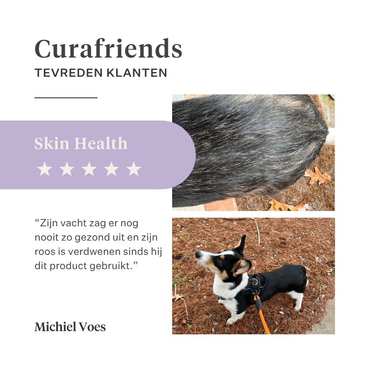 Imby Skin Health supplement voor honden, ondersteunt de algemene gezondheid en dagelijkse vitaliteit, helpt het immuunsysteem en een gezonde huid en vacht te behouden, vult voedingshiaten in de dagelijkse voeding aan, uitgebalanceerde formule ontwikkeld door dierenartsen geschikt voor dagelijks gebruik. | localization: NL