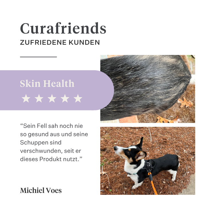 Imby Skin Health Ergänzungsfuttermittel für Hunde, unterstützt die allgemeine Gesundheit und tägliche Vitalität, hilft die Immunfunktion sowie eine gesunde Haut und ein gesundes Fell zu erhalten, gleicht Nährstofflücken in der täglichen Ernährung aus, ausgewogene von Tierärzten entwickelte Formel für den täglichen Gebrauch geeignet. | localization: DE