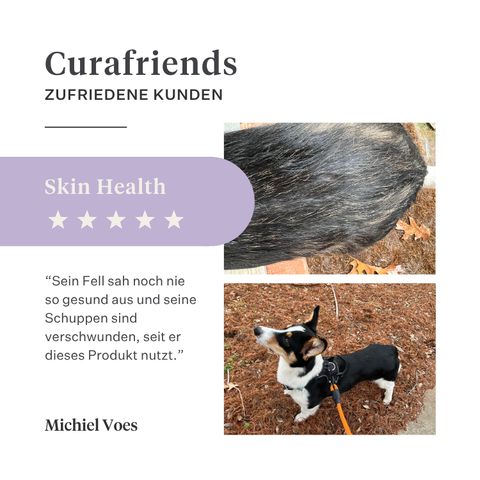 Imby Skin Health Ergänzungsfuttermittel für Hunde, unterstützt die allgemeine Gesundheit und tägliche Vitalität, hilft die Immunfunktion sowie eine gesunde Haut und ein gesundes Fell zu erhalten, gleicht Nährstofflücken in der täglichen Ernährung aus, ausgewogene von Tierärzten entwickelte Formel für den täglichen Gebrauch geeignet. | localization: DE