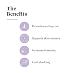Imby Skin Health supplement for dogs, supports overall health and daily vitality, helps maintain immune function and healthy skin and coat, fills nutritional gaps in the daily diet, vet-formulated balanced support suitable for daily use. | localization: EN