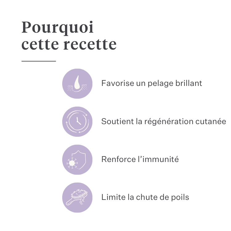 Imby Skin Health complément pour chiens, soutient la santé globale et la vitalité quotidienne, aide à maintenir le système immunitaire ainsi qu’une peau et un pelage sains, comble les carences nutritionnelles de l’alimentation quotidienne, formule équilibrée développée par des vétérinaires adaptée à un usage quotidien. | localization: FR