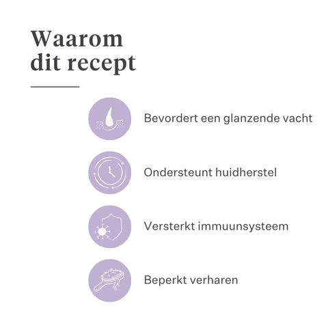 Imby Skin Health supplement voor honden, ondersteunt de algemene gezondheid en dagelijkse vitaliteit, helpt het immuunsysteem en een gezonde huid en vacht te behouden, vult voedingshiaten in de dagelijkse voeding aan, uitgebalanceerde formule ontwikkeld door dierenartsen geschikt voor dagelijks gebruik. | localization: NL