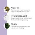 Imby Skin Health supplement for dogs, supports overall health and daily vitality, helps maintain immune function and healthy skin and coat, fills nutritional gaps in the daily diet, vet-formulated balanced support suitable for daily use. | localization: EN