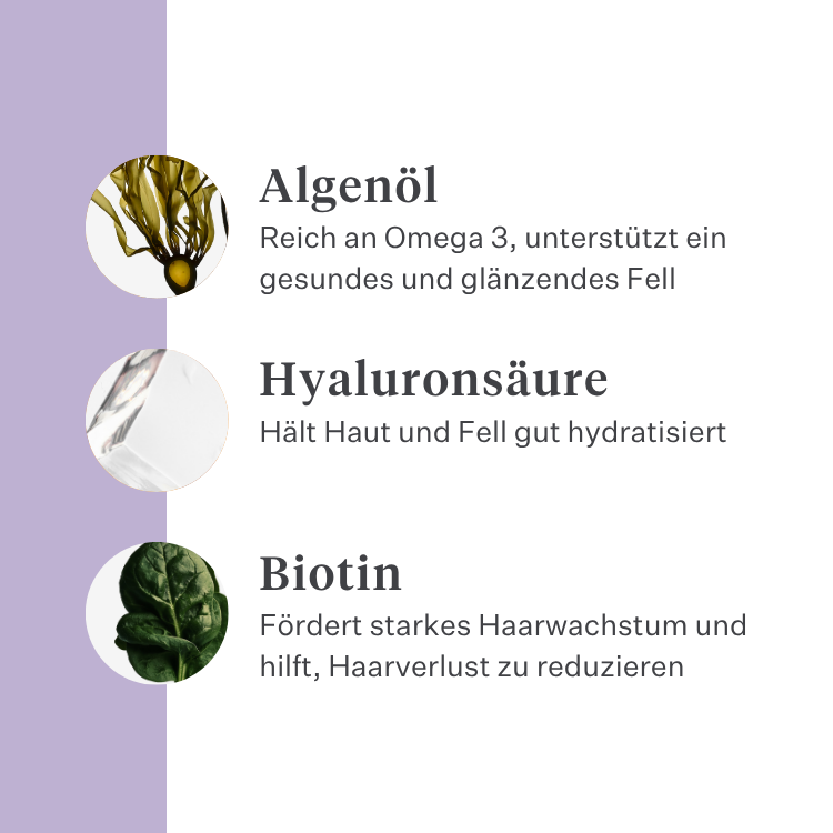 Imby Skin Health Ergänzungsfuttermittel für Hunde, unterstützt die allgemeine Gesundheit und tägliche Vitalität, hilft die Immunfunktion sowie eine gesunde Haut und ein gesundes Fell zu erhalten, gleicht Nährstofflücken in der täglichen Ernährung aus, ausgewogene von Tierärzten entwickelte Formel für den täglichen Gebrauch geeignet. | localization: DE