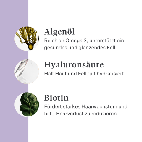 Imby Skin Health Ergänzungsfuttermittel für Hunde, unterstützt die allgemeine Gesundheit und tägliche Vitalität, hilft die Immunfunktion sowie eine gesunde Haut und ein gesundes Fell zu erhalten, gleicht Nährstofflücken in der täglichen Ernährung aus, ausgewogene von Tierärzten entwickelte Formel für den täglichen Gebrauch geeignet. | localization: DE