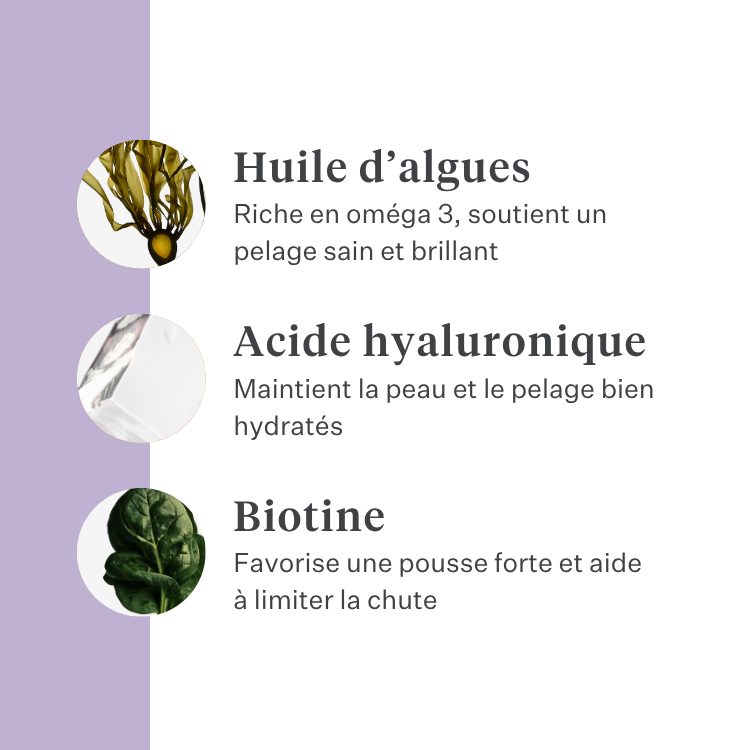 Imby Skin Health complément pour chiens, soutient la santé globale et la vitalité quotidienne, aide à maintenir le système immunitaire ainsi qu’une peau et un pelage sains, comble les carences nutritionnelles de l’alimentation quotidienne, formule équilibrée développée par des vétérinaires adaptée à un usage quotidien. | localization: FR