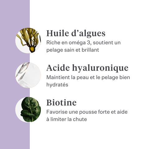 Imby Skin Health complément pour chiens, soutient la santé globale et la vitalité quotidienne, aide à maintenir le système immunitaire ainsi qu’une peau et un pelage sains, comble les carences nutritionnelles de l’alimentation quotidienne, formule équilibrée développée par des vétérinaires adaptée à un usage quotidien. | localization: FR