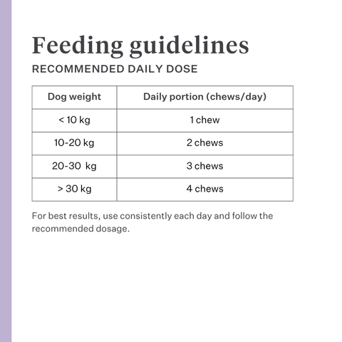 Imby Skin Health supplement for dogs, supports overall health and daily vitality, helps maintain immune function and healthy skin and coat, fills nutritional gaps in the daily diet, vet-formulated balanced support suitable for daily use. | localization: EN