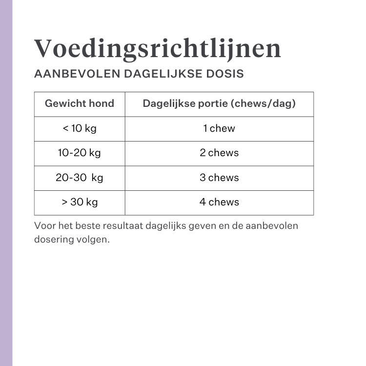 Imby Skin Health supplement voor honden, ondersteunt de algemene gezondheid en dagelijkse vitaliteit, helpt het immuunsysteem en een gezonde huid en vacht te behouden, vult voedingshiaten in de dagelijkse voeding aan, uitgebalanceerde formule ontwikkeld door dierenartsen geschikt voor dagelijks gebruik. | localization: NL