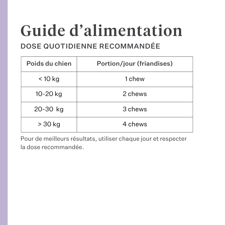 Imby Skin Health complément pour chiens, soutient la santé globale et la vitalité quotidienne, aide à maintenir le système immunitaire ainsi qu’une peau et un pelage sains, comble les carences nutritionnelles de l’alimentation quotidienne, formule équilibrée développée par des vétérinaires adaptée à un usage quotidien. | localization: FR