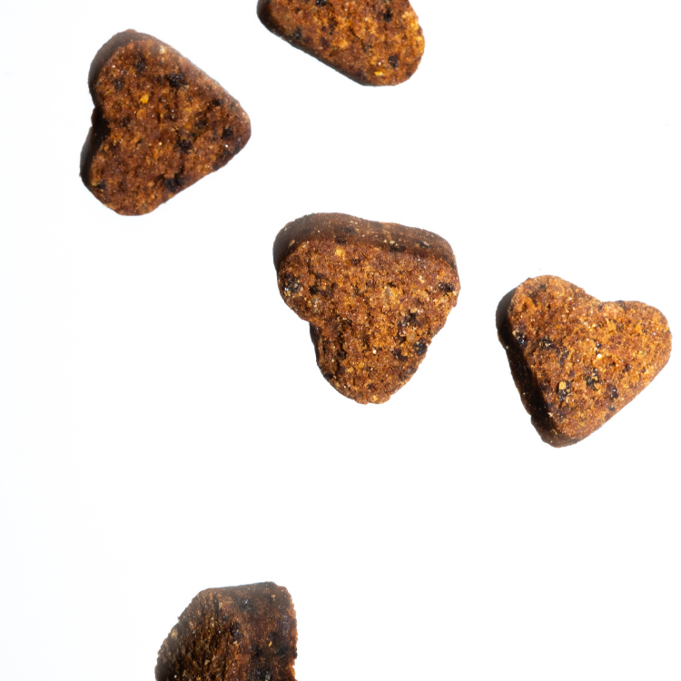 Imby Skin Health supplement voor honden, ondersteunt de algemene gezondheid en dagelijkse vitaliteit, helpt het immuunsysteem en een gezonde huid en vacht te behouden, vult voedingshiaten in de dagelijkse voeding aan, uitgebalanceerde formule ontwikkeld door dierenartsen geschikt voor dagelijks gebruik. | localization: NL