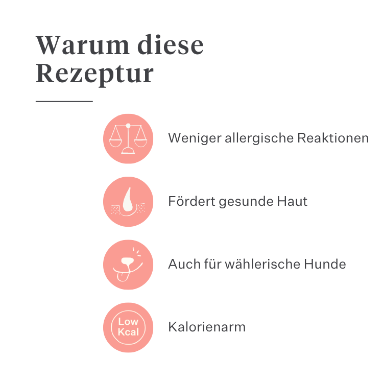 Imby Day Time Hundesnacks, Kekse auf Insektenbasis für Hunde, unterstützen die Hautgesundheit und ein glänzendes Fell, angereichert mit natürlichen Inhaltsstoffen wie Klette, Rotklee und Stiefmütterchen, helfen die Durchblutung zu fördern, nachhaltiger und sehr schmackhafter Snack für den täglichen Einsatz. | localization: DE