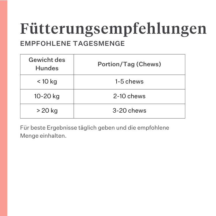 Imby Day Time Hundesnacks, Kekse auf Insektenbasis für Hunde, unterstützen die Hautgesundheit und ein glänzendes Fell, angereichert mit natürlichen Inhaltsstoffen wie Klette, Rotklee und Stiefmütterchen, helfen die Durchblutung zu fördern, nachhaltiger und sehr schmackhafter Snack für den täglichen Einsatz. | localization: DE