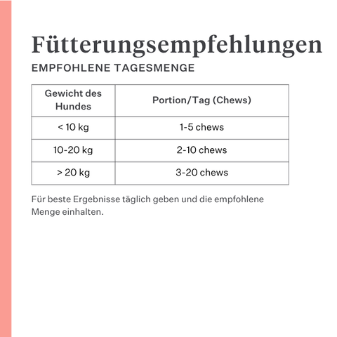Imby Day Time Hundesnacks, Kekse auf Insektenbasis für Hunde, unterstützen die Hautgesundheit und ein glänzendes Fell, angereichert mit natürlichen Inhaltsstoffen wie Klette, Rotklee und Stiefmütterchen, helfen die Durchblutung zu fördern, nachhaltiger und sehr schmackhafter Snack für den täglichen Einsatz. | localization: DE