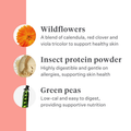 Imby Day Time dog snacks, insect-based biscuits for dogs, supports skin health and a shiny coat, enriched with natural ingredients like arctium, red clover and viola tricolor, helps stimulate circulation, sustainable and highly palatable snack for daily rewards. | localization: EN