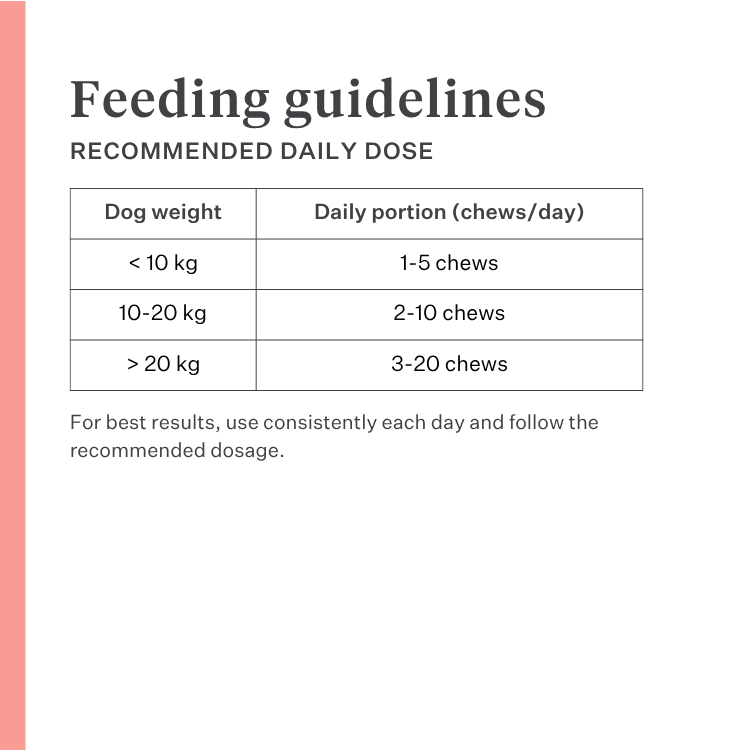 Imby Day Time dog snacks, insect-based biscuits for dogs, supports skin health and a shiny coat, enriched with natural ingredients like arctium, red clover and viola tricolor, helps stimulate circulation, sustainable and highly palatable snack for daily rewards. | localization: EN