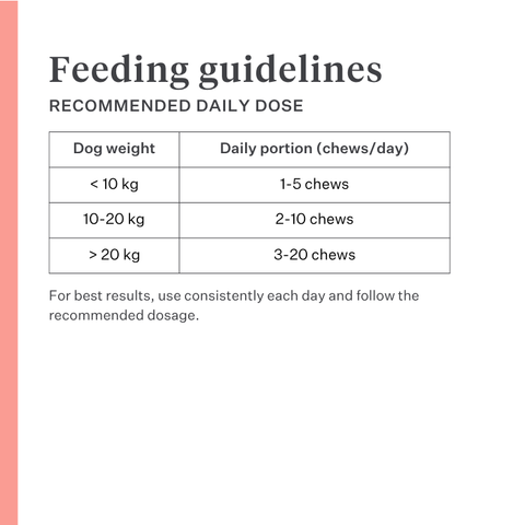 Imby Day Time dog snacks, insect-based biscuits for dogs, supports skin health and a shiny coat, enriched with natural ingredients like arctium, red clover and viola tricolor, helps stimulate circulation, sustainable and highly palatable snack for daily rewards. | localization: EN