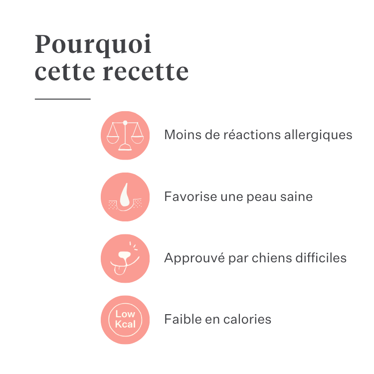 Imby Day Time snacks pour chiens, biscuits à base d’insectes pour chiens, soutiennent la santé de la peau et un pelage brillant, enrichis en ingrédients naturels comme la bardane, le trèfle rouge et la pensée sauvage, aident à stimuler la circulation, snack durable et très appétent pour un usage quotidien. | localization: FR