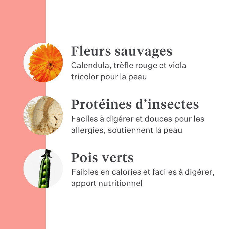 Imby Day Time snacks pour chiens, biscuits à base d’insectes pour chiens, soutiennent la santé de la peau et un pelage brillant, enrichis en ingrédients naturels comme la bardane, le trèfle rouge et la pensée sauvage, aident à stimuler la circulation, snack durable et très appétent pour un usage quotidien. | localization: FR