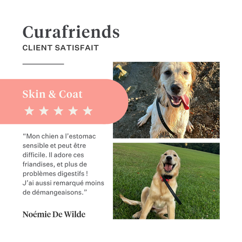 Imby Day Time snacks pour chiens, biscuits à base d’insectes pour chiens, soutiennent la santé de la peau et un pelage brillant, enrichis en ingrédients naturels comme la bardane, le trèfle rouge et la pensée sauvage, aident à stimuler la circulation, snack durable et très appétent pour un usage quotidien. | localization: FR