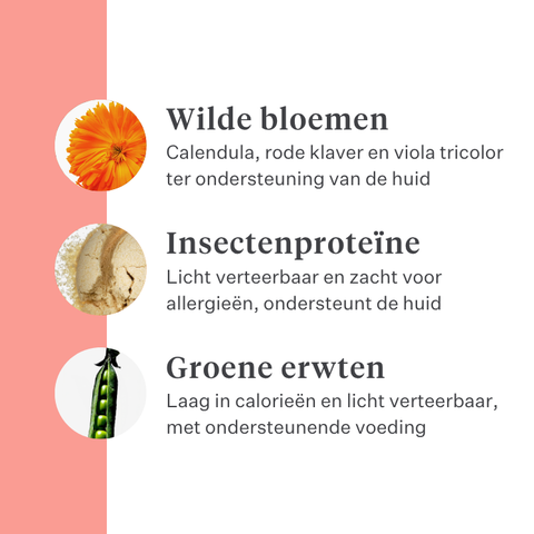 Imby Day Time hondensnacks, koekjes op basis van insecten voor honden, ondersteunen de huidgezondheid en een glanzende vacht, verrijkt met natuurlijke ingrediënten zoals klis, rode klaver en driekleurig viooltje, helpen de bloedcirculatie te stimuleren, duurzame en zeer smakelijke snack voor dagelijks gebruik. | localization: NL
