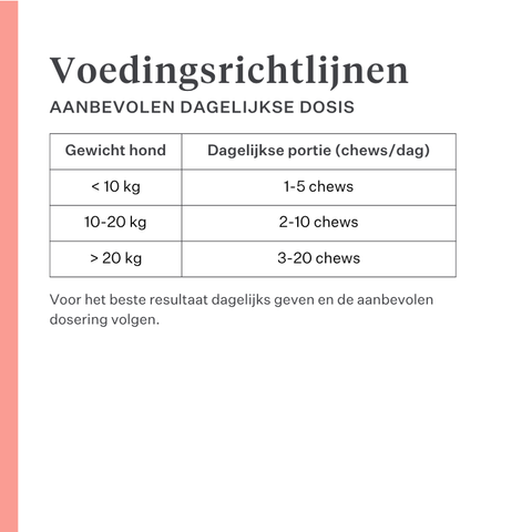 Imby Day Time hondensnacks, koekjes op basis van insecten voor honden, ondersteunen de huidgezondheid en een glanzende vacht, verrijkt met natuurlijke ingrediënten zoals klis, rode klaver en driekleurig viooltje, helpen de bloedcirculatie te stimuleren, duurzame en zeer smakelijke snack voor dagelijks gebruik. | localization: NL
