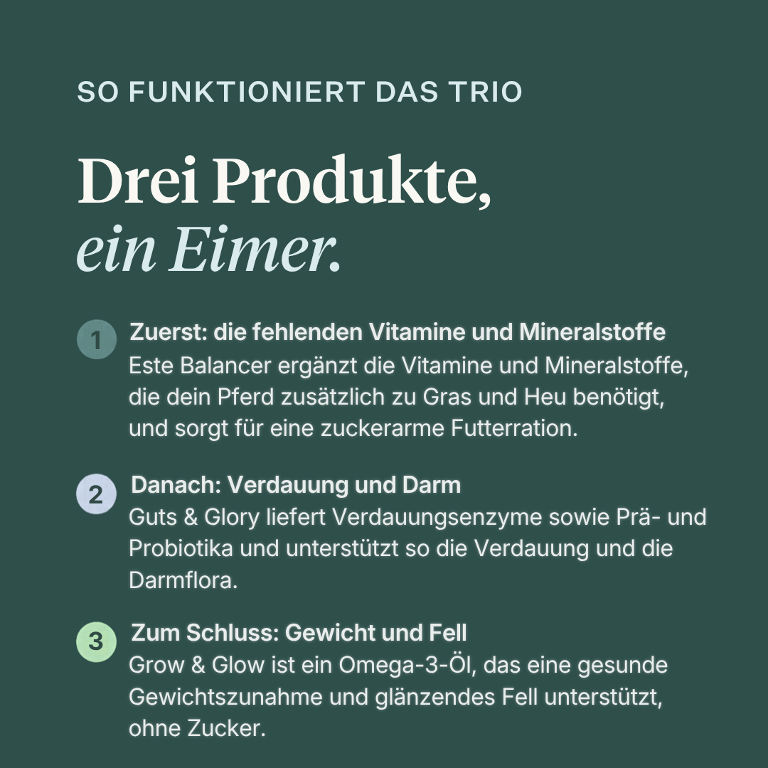 Curafyt Skinny Horse Bundle, ein Ergänzungsfuttermittel-Paket für Pferde mit Este Balancer, Guts & Glory und Grow & Glow. Liefert wichtige Vitamine und Mineralstoffe, unterstützt die Verdauung und Darmflora mit Enzymen, Präbiotika und Probiotika und enthält Omega-3-Öl für eine gesunde Gewichtszunahme und ein glänzendes Fell, ohne Zuckerzusatz.