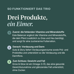Curafyt Skinny Horse Bundle, ein Ergänzungsfuttermittel-Paket für Pferde mit Este Balancer, Guts & Glory und Grow & Glow. Liefert wichtige Vitamine und Mineralstoffe, unterstützt die Verdauung und Darmflora mit Enzymen, Präbiotika und Probiotika und enthält Omega-3-Öl für eine gesunde Gewichtszunahme und ein glänzendes Fell, ohne Zuckerzusatz. | localization: DE