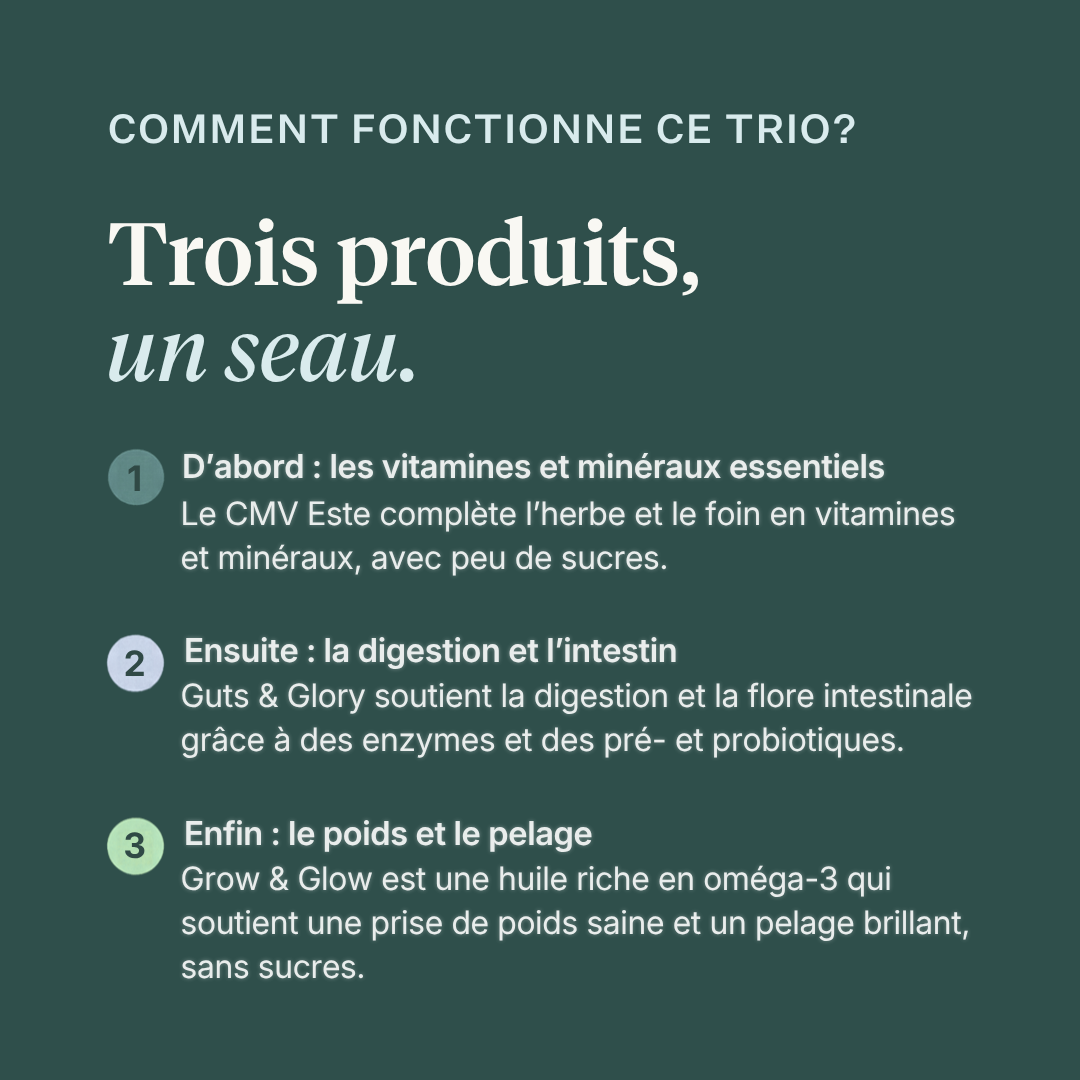 Curafyt Skinny Horse Bundle, un pack de compléments pour chevaux associant Este Balancer, Guts & Glory et Grow & Glow. Apporte des vitamines et minéraux essentiels, soutient la digestion et la flore intestinale grâce aux enzymes, prébiotiques et probiotiques, et fournit des oméga-3 pour favoriser une prise de poids saine et un pelage brillant, sans ajout de sucre.
