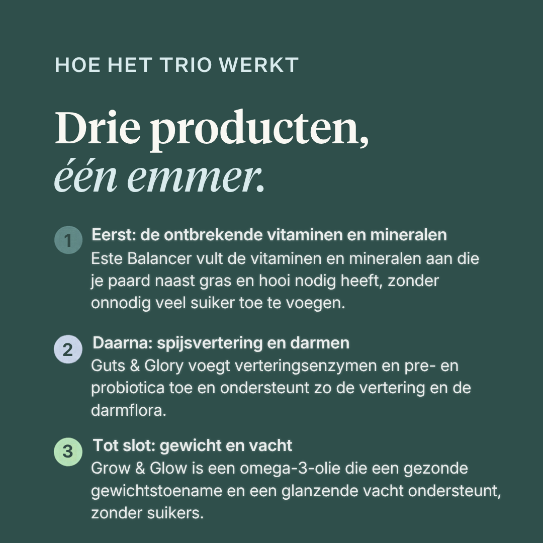 Curafyt Skinny Horse Bundle, een supplementenpakket voor paarden met Este Balancer, Guts & Glory en Grow & Glow. Levert essentiële vitaminen en mineralen, ondersteunt de spijsvertering en darmflora met enzymen, prebiotica en probiotica, en bevat omega 3-olie voor een gezonde gewichtstoename en een glanzende vacht, zonder toegevoegde suikers. | localization: NL