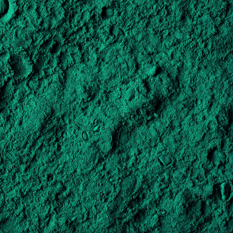 Spiruline