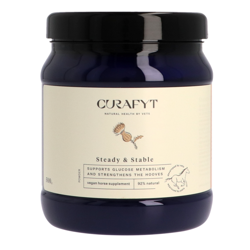 Steady & Stable jar