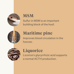 Steady&Stable Curafyt supplement horse pony laminitis hooves hoof sensitive ppid cushing | localization: EN