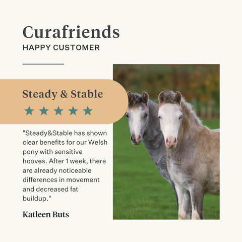 Steady&Stable Curafyt supplement horse pony laminitis hooves hoof sensitive ppid cushing | localization: EN