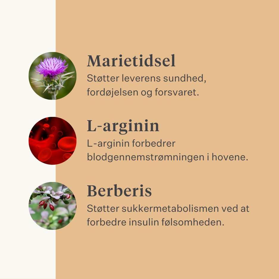 Steady & Stable Curafyt supplement til heste og ponyer, hovbetændelse, følsomme hove, insulin, glukose, PPID, Cushing's syndrom | localization: DA