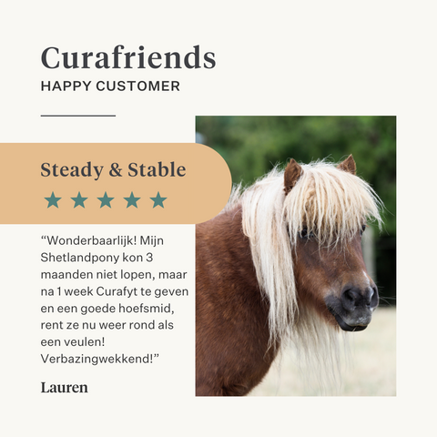 Steady&Stable Curafyt supplement paard pony laminitis hoefbevangenheid hoeven hoef gevoelig insuline glucose ppid cushing | localization: NL