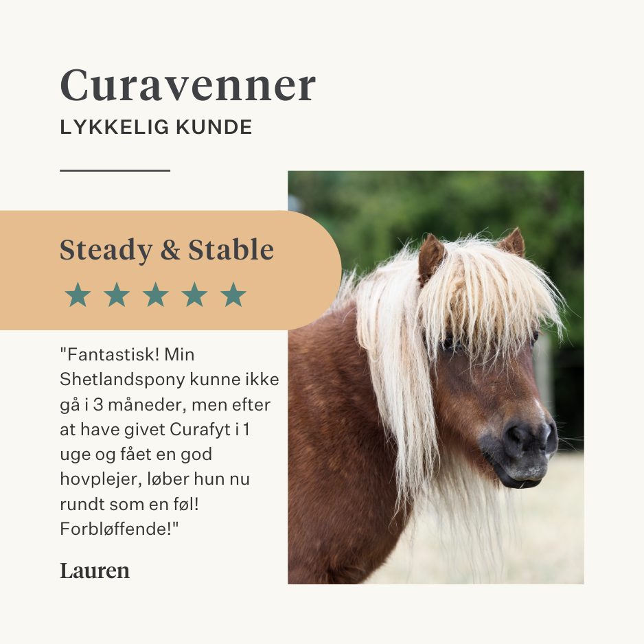 Steady & Stable Curafyt supplement til heste og ponyer, hovbetændelse, følsomme hove, insulin, glukose, PPID, Cushing's syndrom | localization: DA