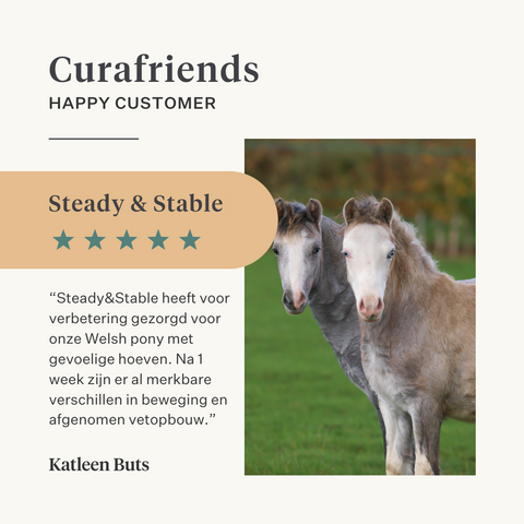 Steady&Stable Curafyt supplement paard pony laminitis hoefbevangenheid hoeven hoef gevoelig insuline glucose ppid cushing | localization: NL
