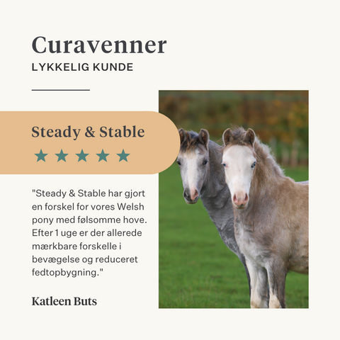 Steady & Stable Curafyt supplement til heste og ponyer, hovbetændelse, følsomme hove, insulin, glukose, PPID, Cushing's syndrom | localization: DA