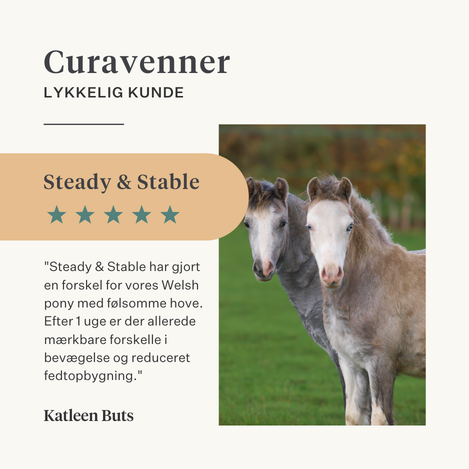Steady & Stable Curafyt supplement til heste og ponyer, hovbetændelse, følsomme hove, insulin, glukose, PPID, Cushing's syndrom | localization: DA