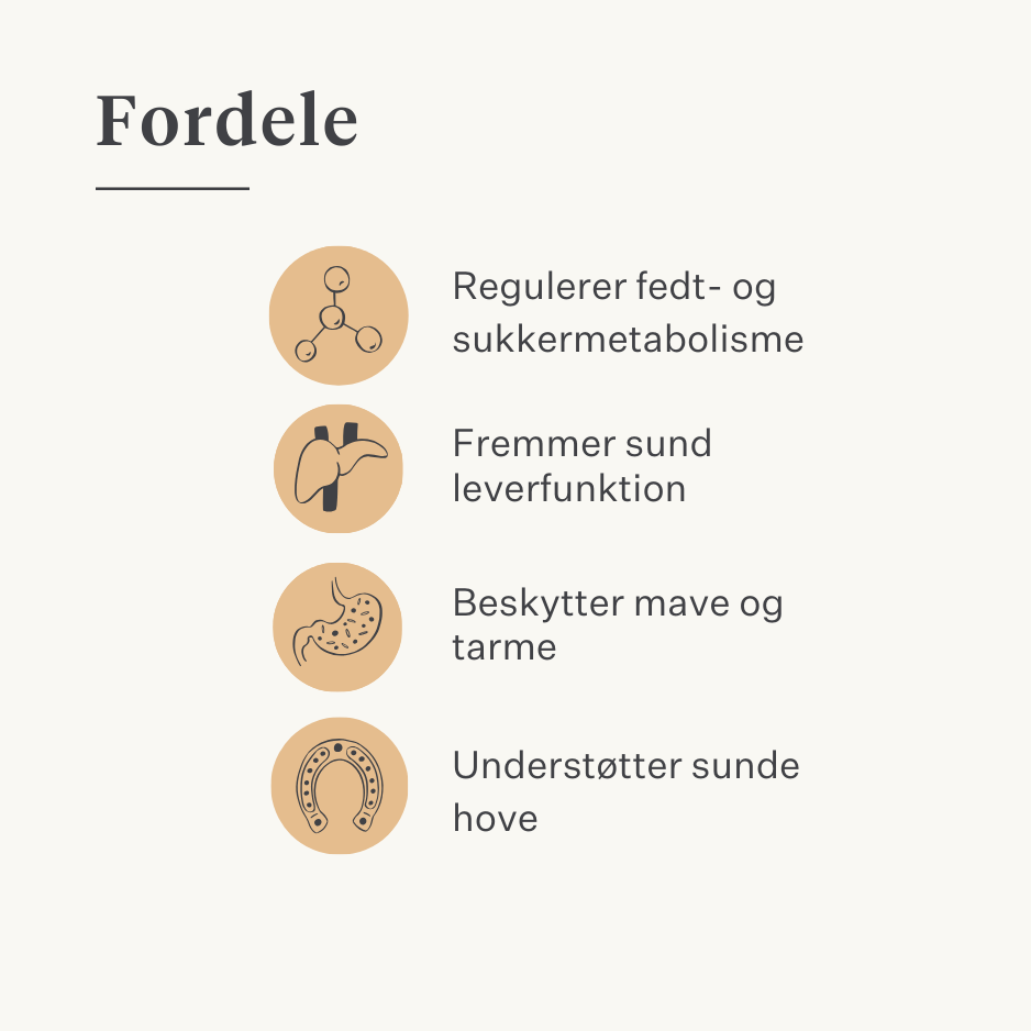 Steady & Stable Curafyt supplement til heste og ponyer, hovbetændelse, følsomme hove, insulin, glukose, PPID, Cushing's syndrom | localization: DA