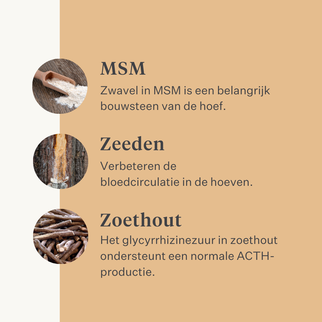 Steady&Stable Curafyt supplement paard pony laminitis hoefbevangenheid hoeven hoef gevoelig insuline glucose ppid cushing | localization: NL
