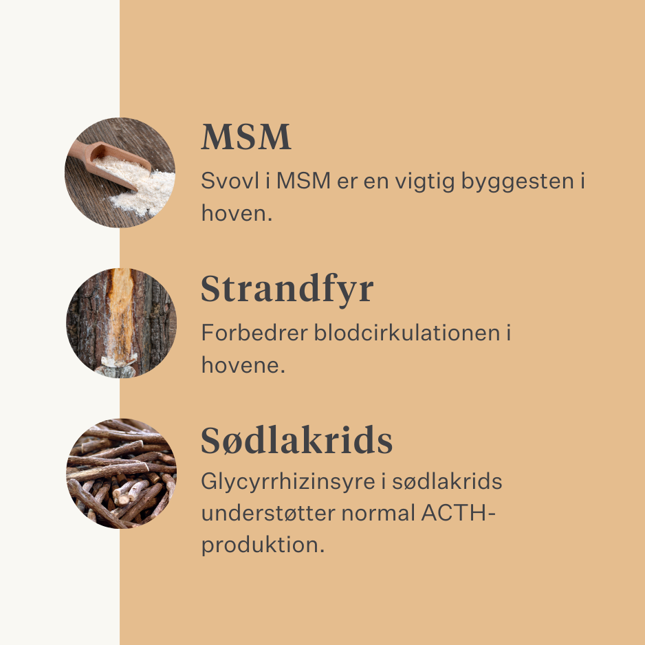 Steady & Stable Curafyt supplement til heste og ponyer, hovbetændelse, følsomme hove, insulin, glukose, PPID, Cushing's syndrom | localization: DA