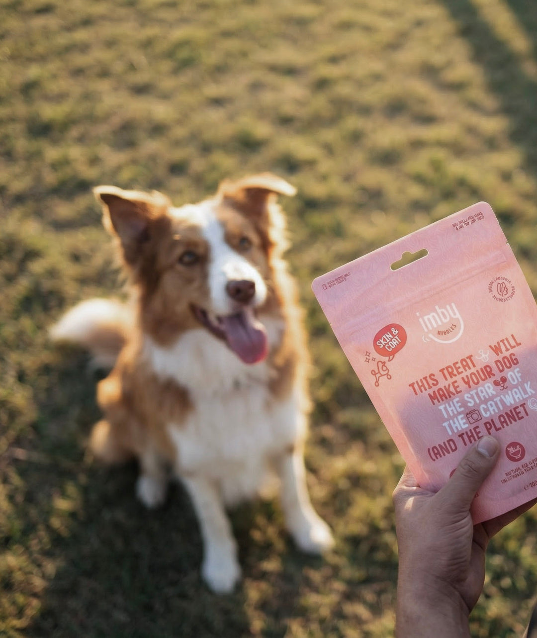 IMBY Hunde Snacks für tagsüber
