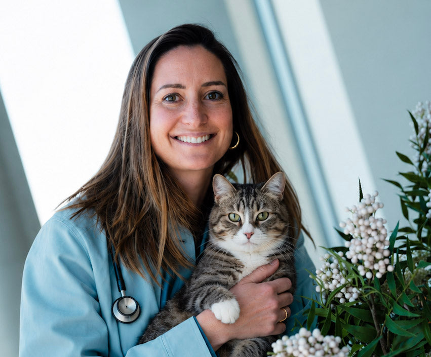 Veterinarian Valérie De Clerck, founder of Curafyt, with a cat