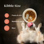 Imby Vitality dog food, complete everyday dry food for dogs of all breeds and life stages, based on hypoallergenic insect protein, supports digestion and overall wellbeing, highly digestible and eco-conscious nutrition, balanced formula developed by vets, highly palatable kibble. | localization: EN