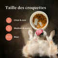 Imby Vitality nourriture pour chiens, aliment sec complet quotidien pour chiens de toutes races et à tous les stades de vie, à base de protéines d’insectes hypoallergéniques, soutient la digestion et le bien-être général, nutrition hautement digestible et écoresponsable, formule équilibrée développée par des vétérinaires, croquettes très appétentes. | localization: FR