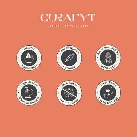 Imby Vitality dog food, complete everyday dry food for dogs of all breeds and life stages, based on hypoallergenic insect protein, supports digestion and overall wellbeing, highly digestible and eco-conscious nutrition, balanced formula developed by vets, highly palatable kibble. | localization: EN