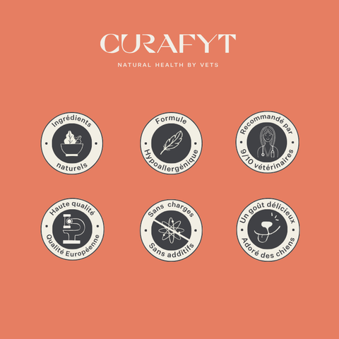 Imby Vitality nourriture pour chiens, aliment sec complet quotidien pour chiens de toutes races et à tous les stades de vie, à base de protéines d’insectes hypoallergéniques, soutient la digestion et le bien-être général, nutrition hautement digestible et écoresponsable, formule équilibrée développée par des vétérinaires, croquettes très appétentes. | localization: FR